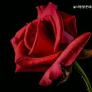 용마산로96길 33 | 중랑구 연로하신 부모님 위한 요양원 추천 늘사랑방문재가센터 신뢰할 수 있는 요양 서비스