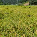 어곡리마을회관 이미지