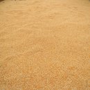 대농2농장 이미지