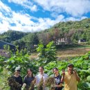 지혜농장 | 우프코리아GG101두레산지농장 싱가포르우퍼 우핑체험후기 자넬 &amp;웬디 그리고 마크(YU WEN CHIA...