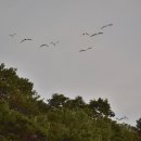 부평선착장 이미지