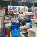 화서1동 주민센터 맞은편 | 명지활어회센터 12번 소배 횟집 후기ㅣ부산 명지시장 활어회 맛집