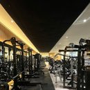 백퍼센트 이미지