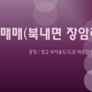 여주-0004 이미지