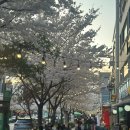 수락골솥뚜껑삼겹살
