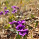 해솔목장 이미지