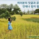 대구 대명동 고기맛집 구땡 무한겹살 9900 무한리필
