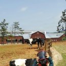 칠보단장 이미지