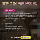 펠리아헤어 이미지