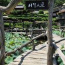 산청엔흙돼지 이미지