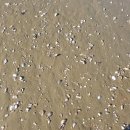 올포유펜션 이미지