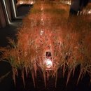 NH 농협 앞 | (성수 팝업) NH농협 올원 뱅크팝업 후기