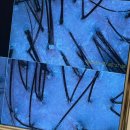 감삼동315 | 대구 달서구 두피관리 온담온 찐추천 솔직후기