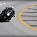 명산오리 이미지