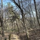 오리나무약수터 이미지