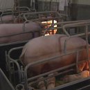 원삼농장 이미지