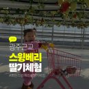 스윙베리 | 광주근교 딸기체험 화순 스윙베리 내돈내산 후기