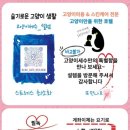 고양이 세수_설렘 이미지