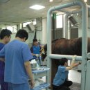 경마장가는길 이미지