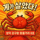 영덕 강구항 풍물거리 8호 대게로 마음까지 포식한 하루