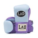 H.복싱 | 복싱 글러브 라드 LAD FLOW - H 10oz 구매 후기