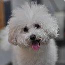 우솔동물병원 이미지