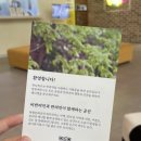 위디위키 이미지