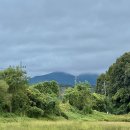 둥글둥글 이미지