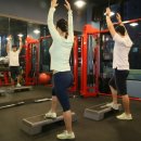 Wolf 퍼스널 트레이닝 이미지