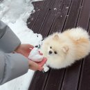 천제연로 | 1분기가 끝나가다니요 - 1