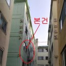 인천봉화초등학교 이미지