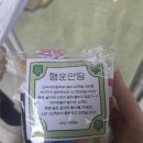 에듀진 | 2026학년도 서울대 면접 후기 (수시일반 제시문면접)