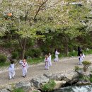 영풍태권도 체육관 이미지