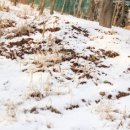 상당여관 이미지