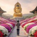 강진-4 | 강진 남미륵사 4월 꽃구경: 개화 시기부터 여행 꿀팁까지