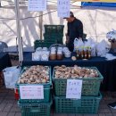 새울길영농조합법인 이미지