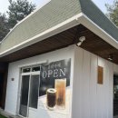 솔담 | 속초 뷰 좋은 카페 │ 숲속 감성 제대로 느낀 솔담카페 데이트 후기