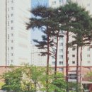 김유리영어수학 | (장유 율하동 영어공부방)김유리영어공부방 방문후기 율하동 영어 교습소 영어 학원 ~♡