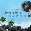 미니점빵 이미지