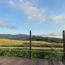 모과목장 이미지