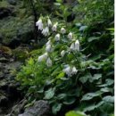 경북대로(동) 이미지