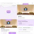 세종축산동물약품 | 세종 애견 장례 비용과 후기, 후회 없는 선택 방법