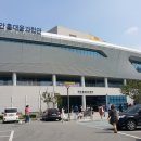 별선비