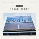 망향휴게소편의점 | 경부고속도로 망향휴게소 하행선 이용 후기(feat.반려견 동반)