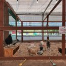 용기네 농장 이미지