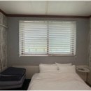 하늘애견 이미지