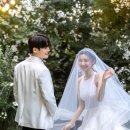 레이디로즈스튜디오
