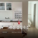 아파트먼트풀 스테이 부산 해운대 감성숙소 오션뷰 후기