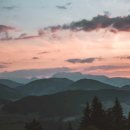 보물마켓 이미지