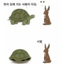 토끼와거북이 이미지